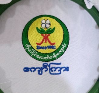 Nan Lu client logo 6